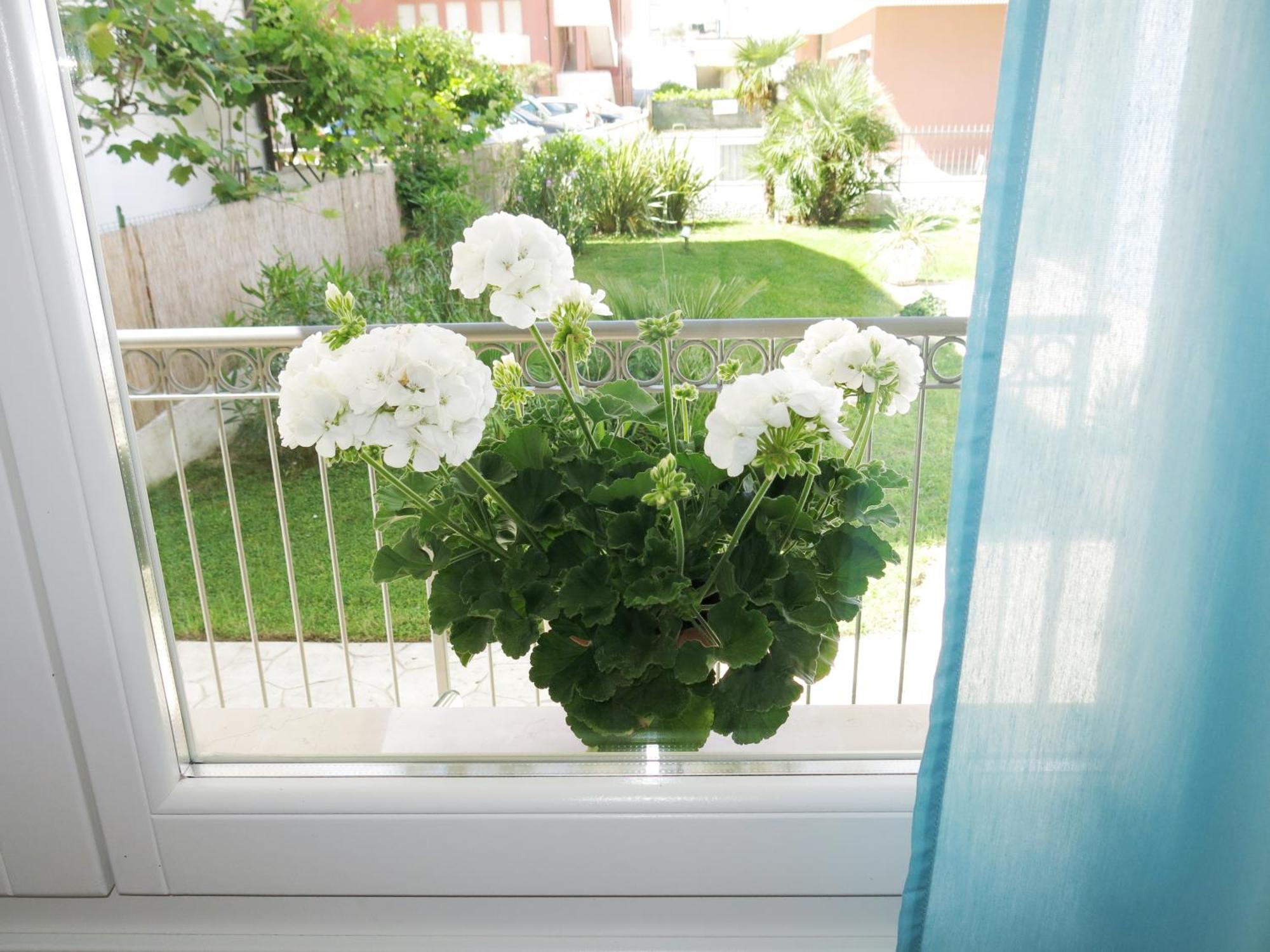 Residence Amarein Caorle Exteriör bild